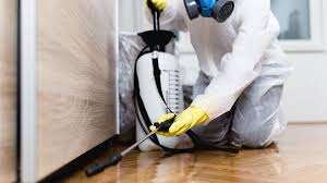 Best Residential Pest Control  in Hammond, LA