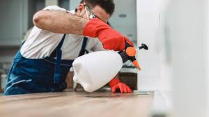 Best Termite Inspection and Treatment  in Hammond, LA