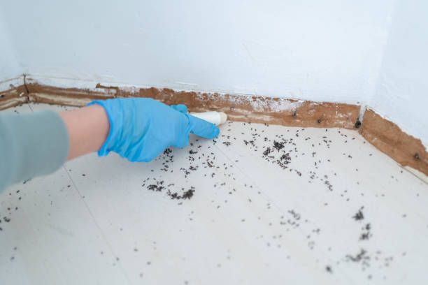 Best Real Estate Pest Inspections  in Hammond, LA